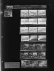 Fatal Wreck; Snow Pictures (22 Negatives), January 28-31, 1966 [Sleeve 57, Folder a, Box 39]